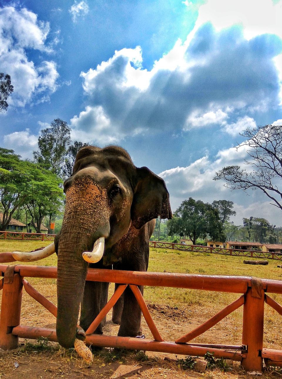 Photo of Coorg - Scotland of South India by Babu Reddy