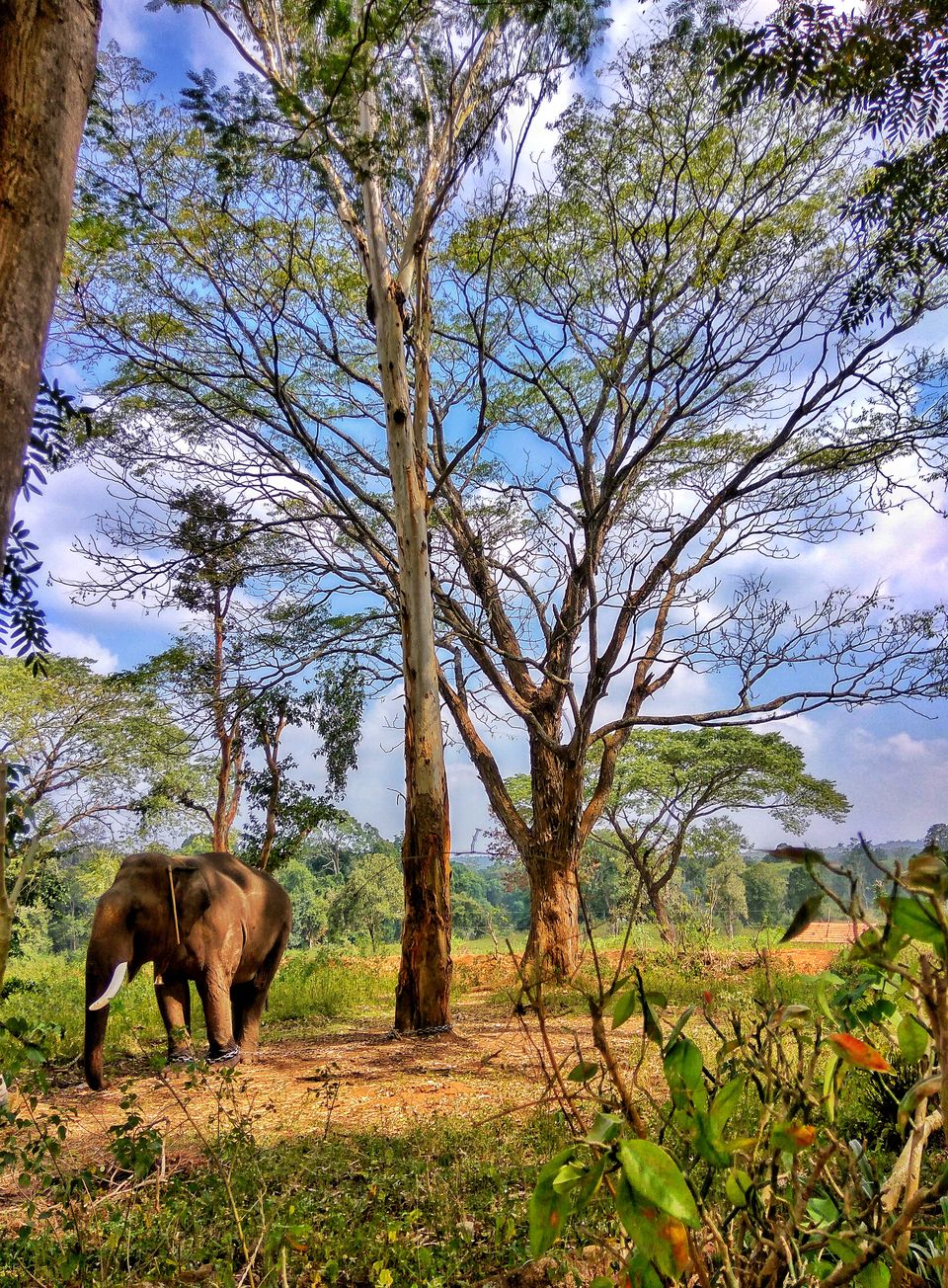 Photo of Coorg - Scotland of South India by Babu Reddy