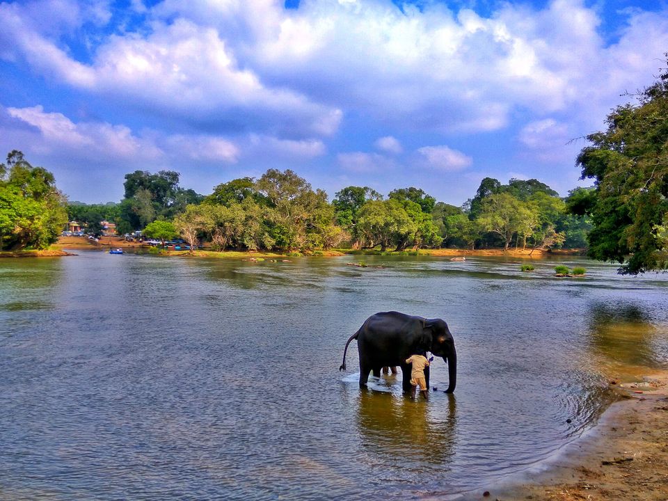 Photo of Coorg - Scotland of South India by Babu Reddy