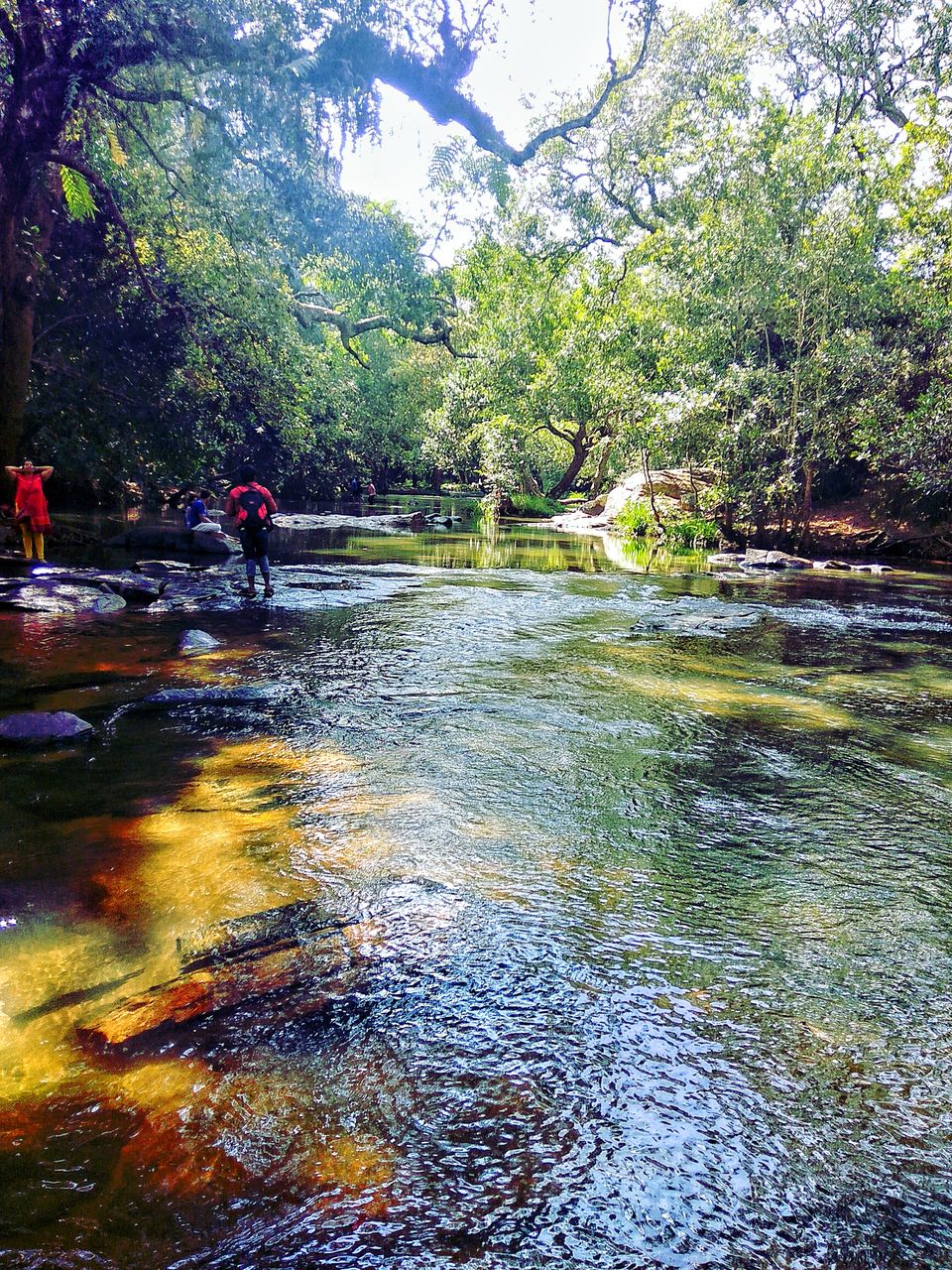 Photo of Nisargadhama, Kodagu, Karnataka, India by Babu Reddy