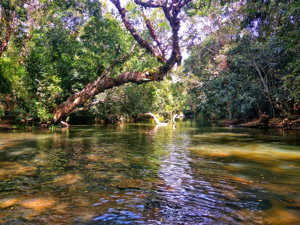 Photo of Nisargadhama, Kodagu, Karnataka, India by Babu Reddy