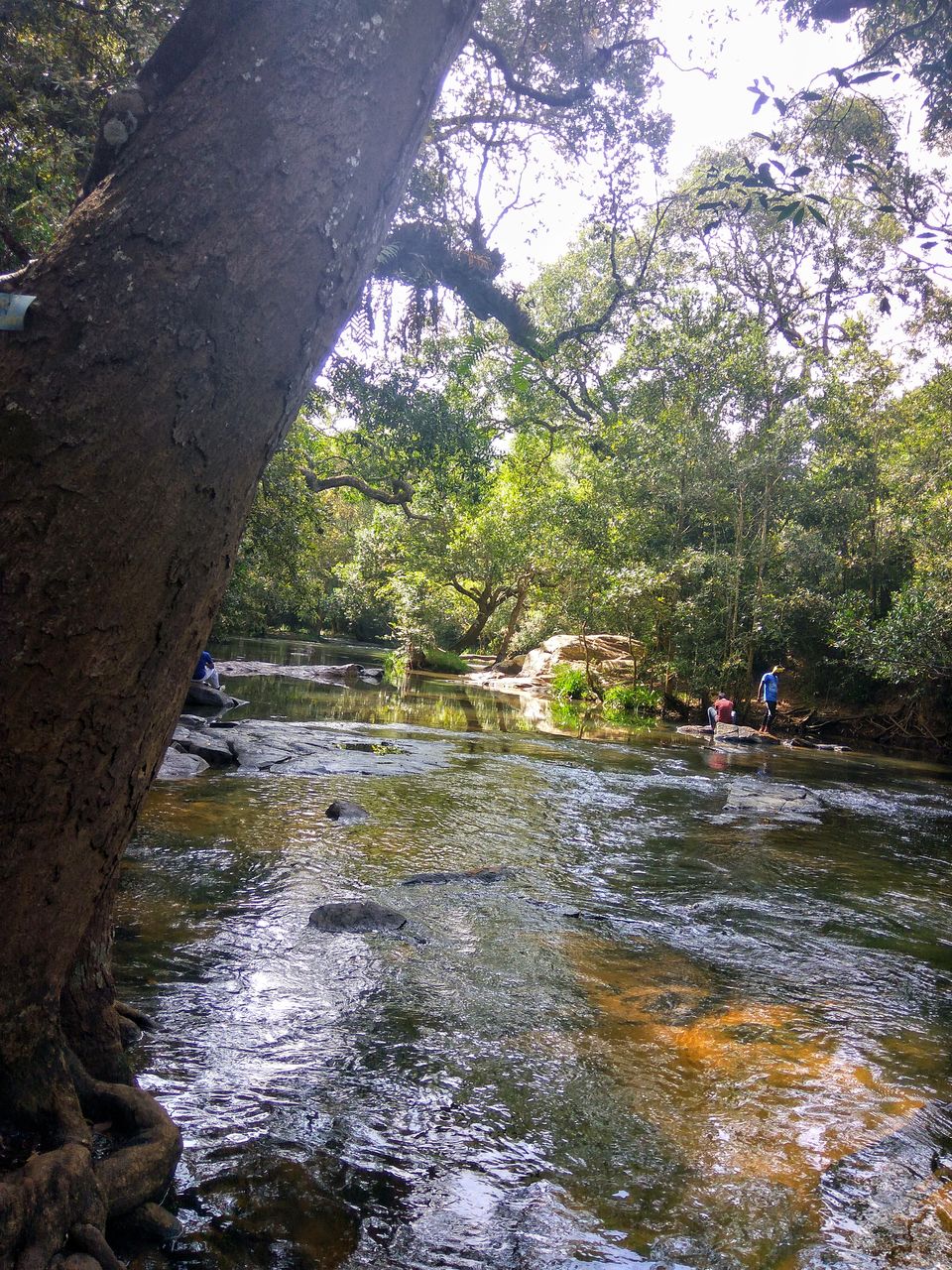 Photo of Nisargadhama, Kodagu, Karnataka, India by Babu Reddy