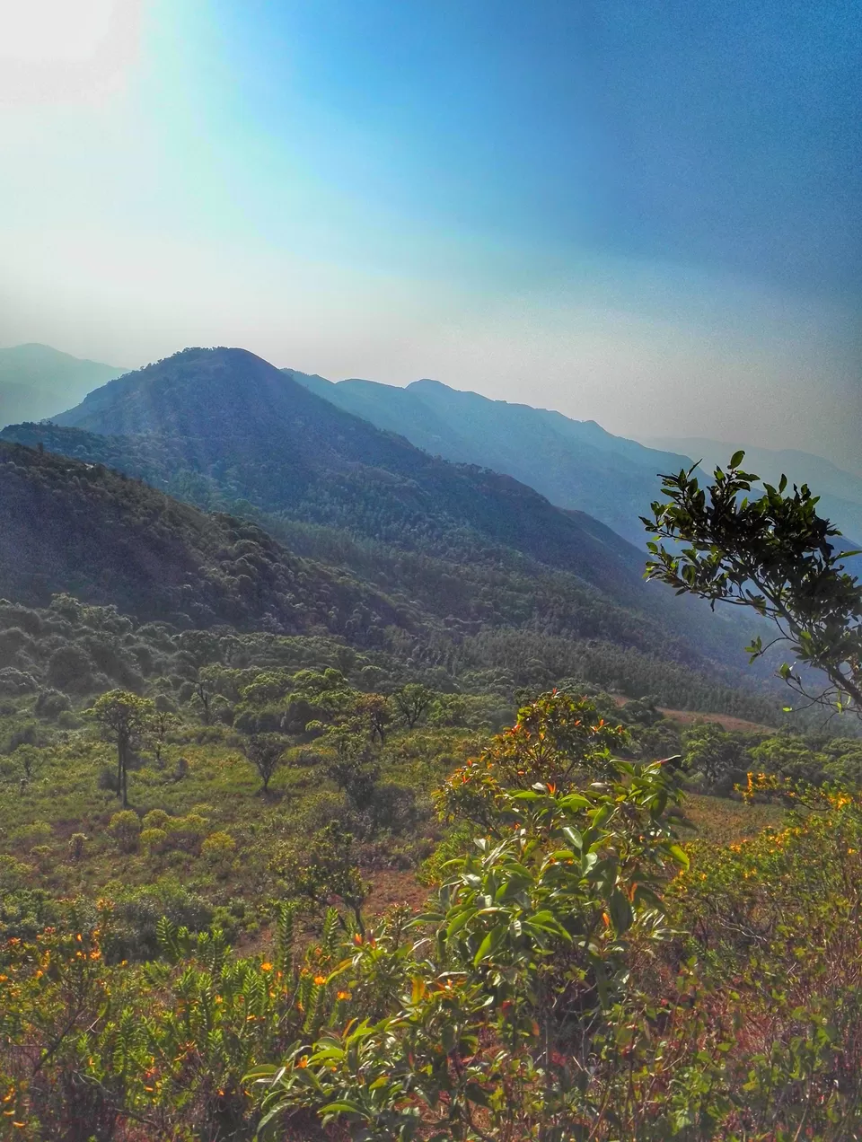 Photo of Mullayanagiri, Chickmagaluru, Karnataka, India by Babu Reddy