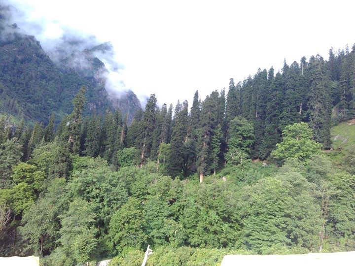 Photo of First solo trip. Parvati valley by Arun Kumar