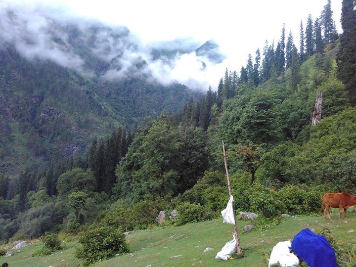 Photo of First solo trip. Parvati valley by Arun Kumar