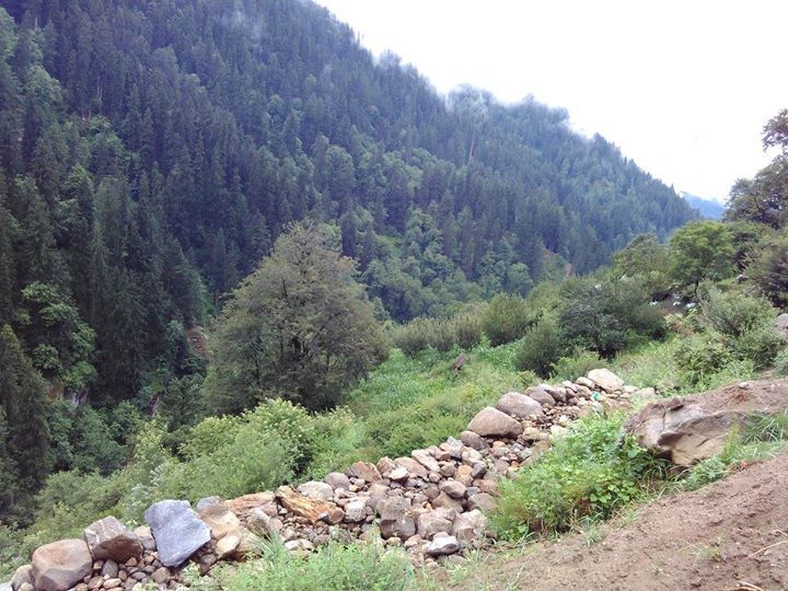 Photo of First solo trip. Parvati valley by Arun Kumar