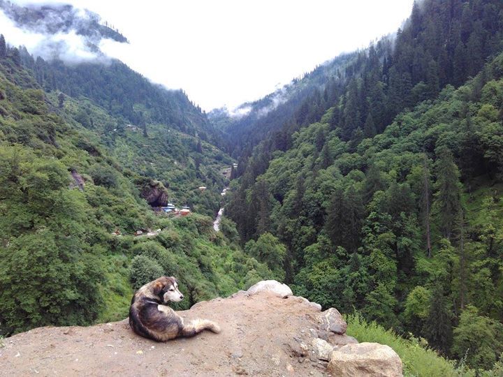 Photo of First solo trip. Parvati valley by Arun Kumar