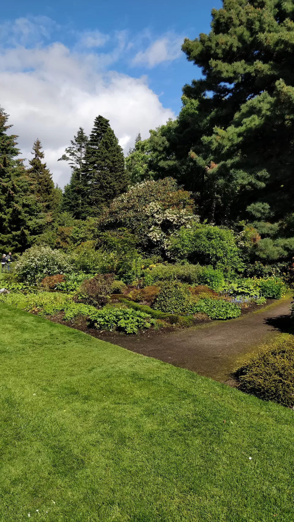 Photo of Royal Botanic Garden Edinburgh, Arboretum Place, Edinburgh, UK by Deepika Trilokekar Shringarpure