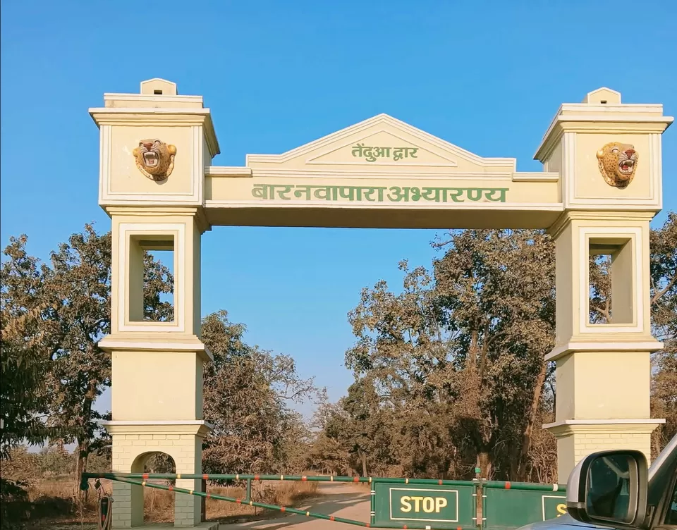 Photo of Barnawapara Wildlife Sanctuary by Pankaj Singh Rajput 