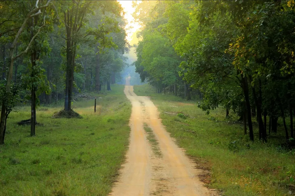 Photo of Barnawapara Wildlife Sanctuary by Pankaj Singh Rajput 