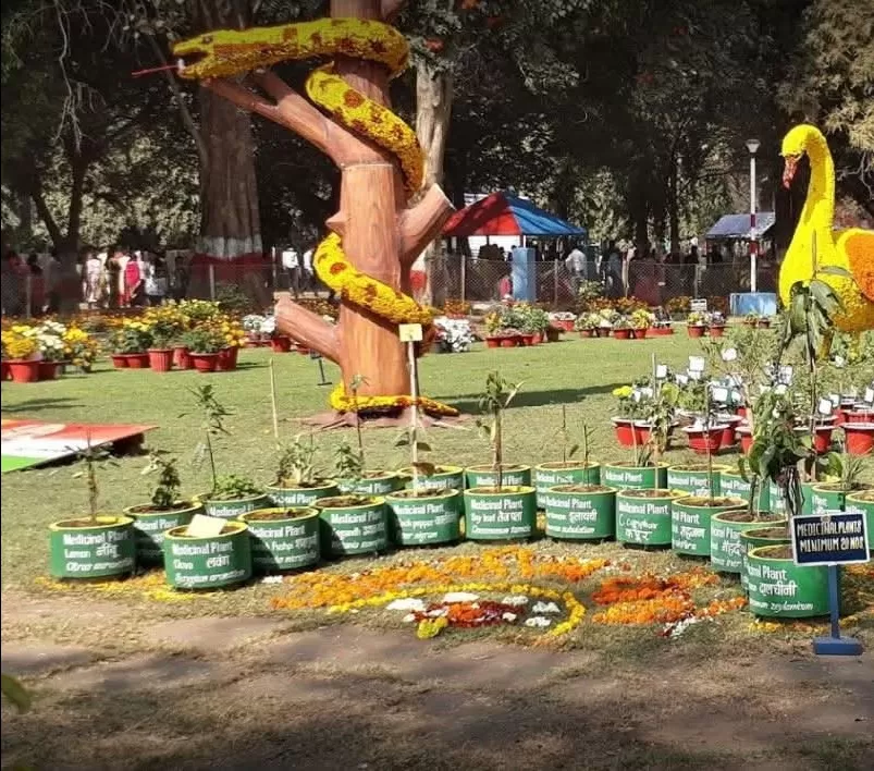 Photo of Bhilai by Pankaj Singh Rajput 