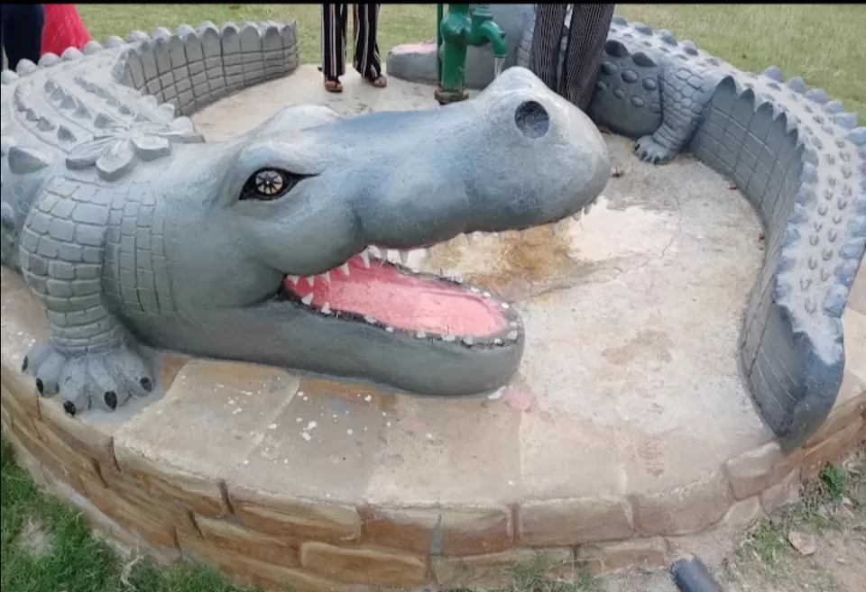 Photo of Kotmisunar by Pankaj Singh Rajput 