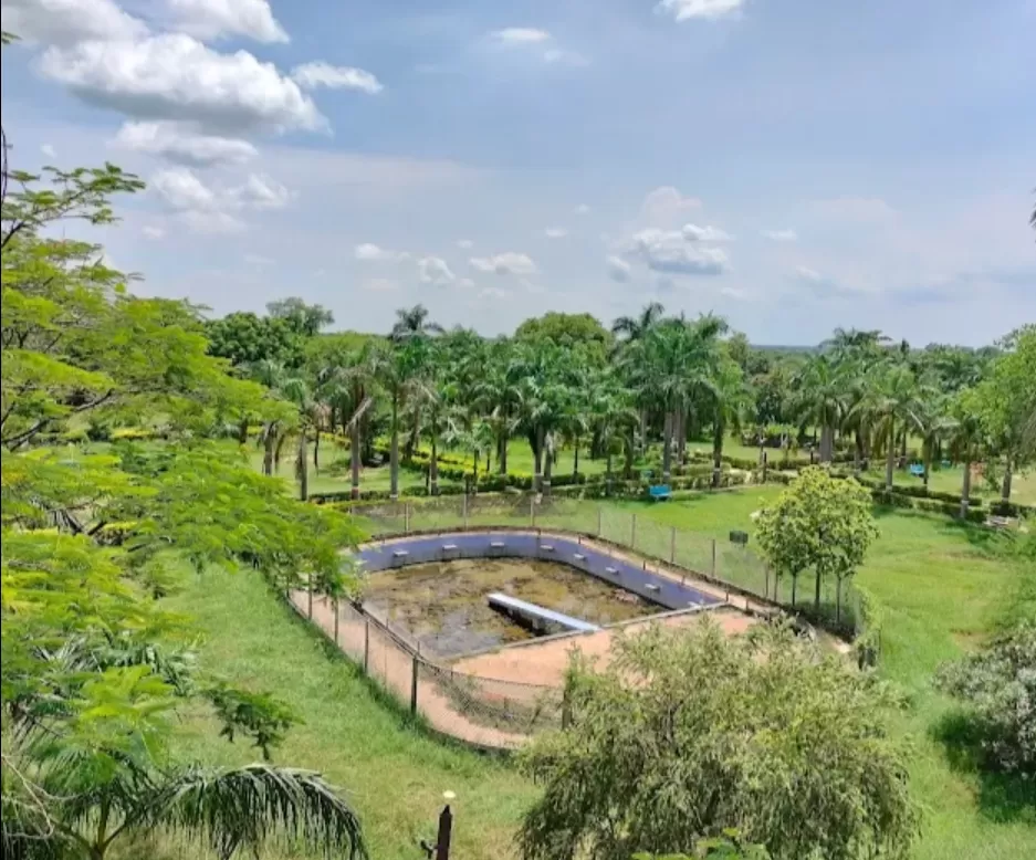 Photo of Kotmisunar by Pankaj Singh Rajput 