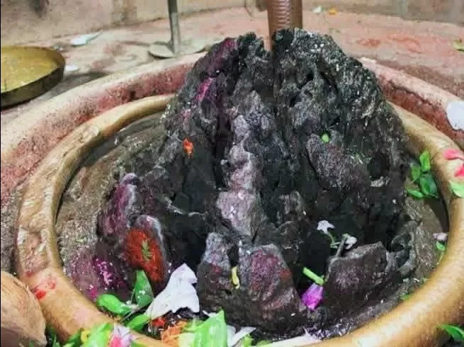 Photo of Kharaud by Pankaj Singh Rajput