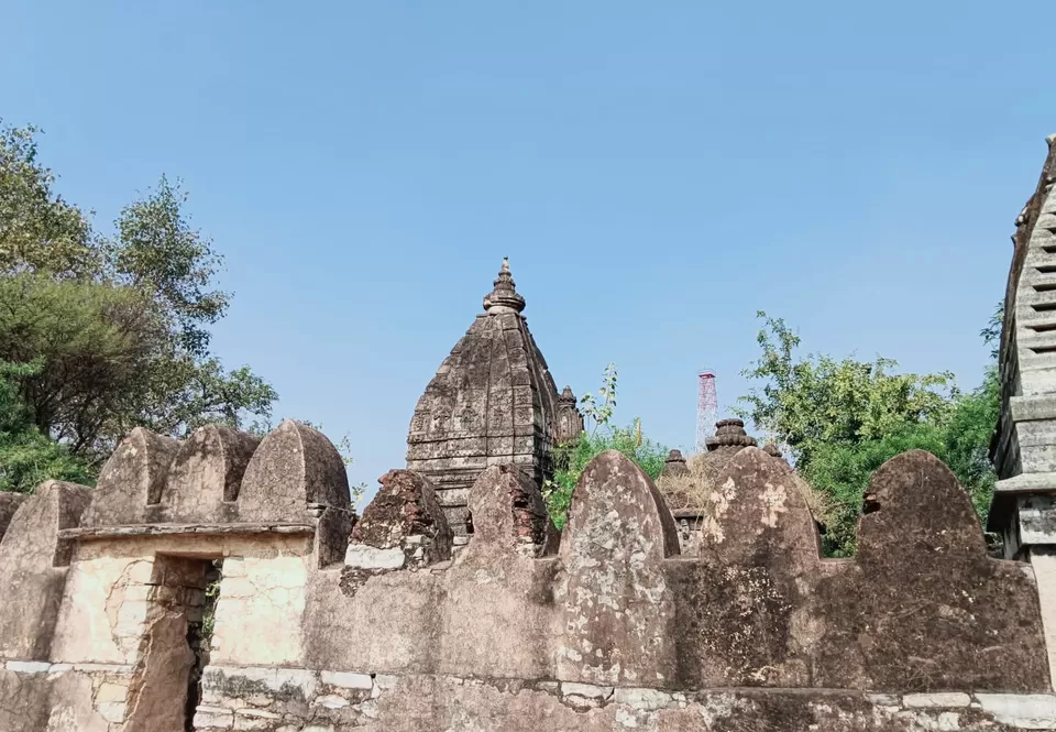 Photo of Kharaud by Pankaj Singh Rajput