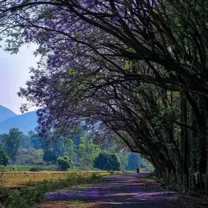 Photo of Koraput by Pankaj Singh Rajput 