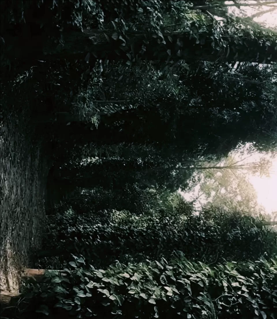 Photo of Koraput by Pankaj Singh Rajput 