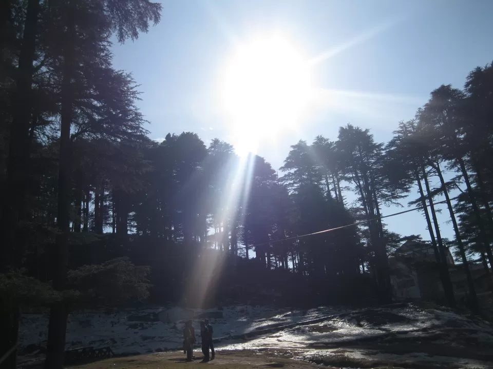 Photo of Patnitop by Travel stories by Shipra 