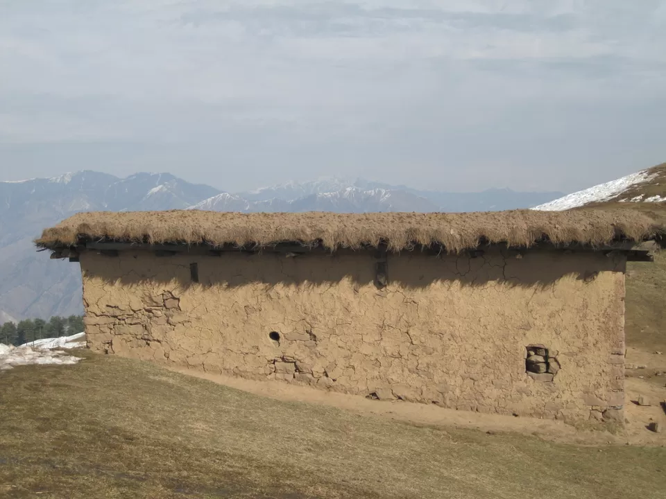 Photo of Patnitop by Travel stories by Shipra 