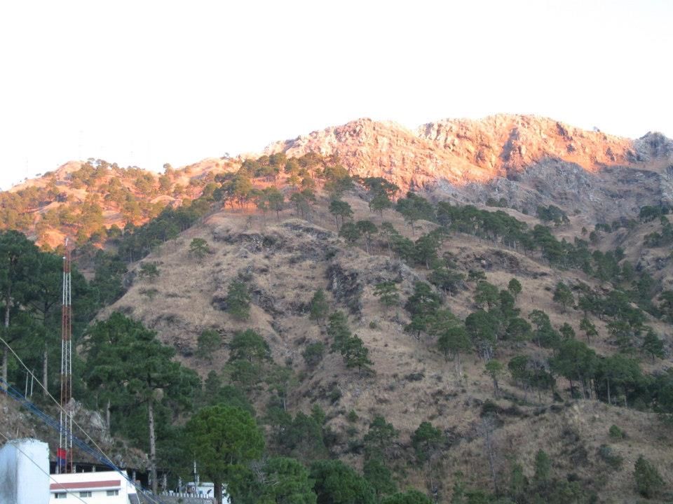 Photo of Discovering tranquility and quiescence in the valley -Jammu - Katra - Patnitop 3/32 by Travel stories by Shipra 