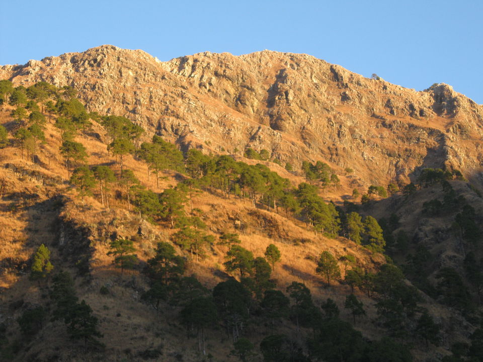 Photo of Discovering tranquility and quiescence in the valley -Jammu - Katra - Patnitop 10/32 by Travel stories by Shipra 
