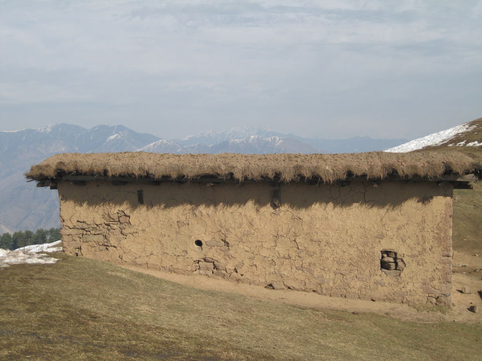 Photo of Discovering tranquility and quiescence in the valley -Jammu - Katra - Patnitop 16/32 by Travel stories by Shipra 