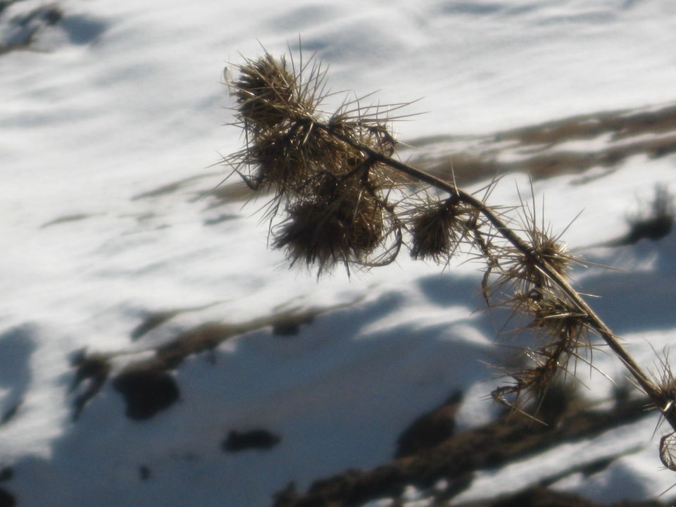 Photo of Discovering tranquility and quiescence in the valley -Jammu - Katra - Patnitop 22/32 by Travel stories by Shipra 