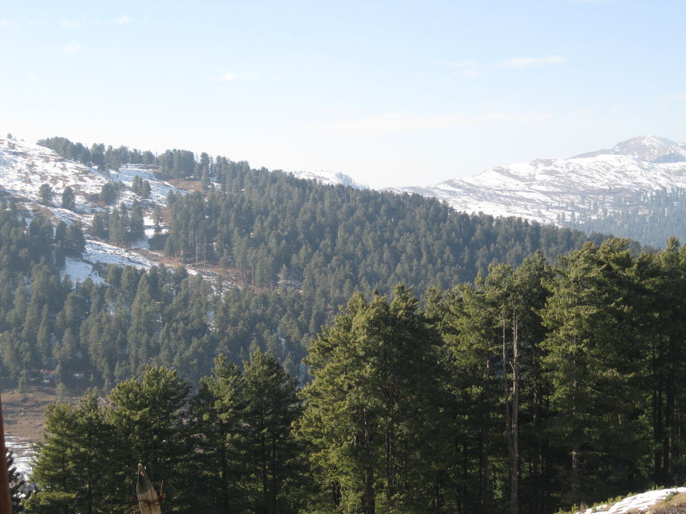 Photo of Discovering tranquility and quiescence in the valley -Jammu - Katra - Patnitop 24/32 by Travel stories by Shipra 