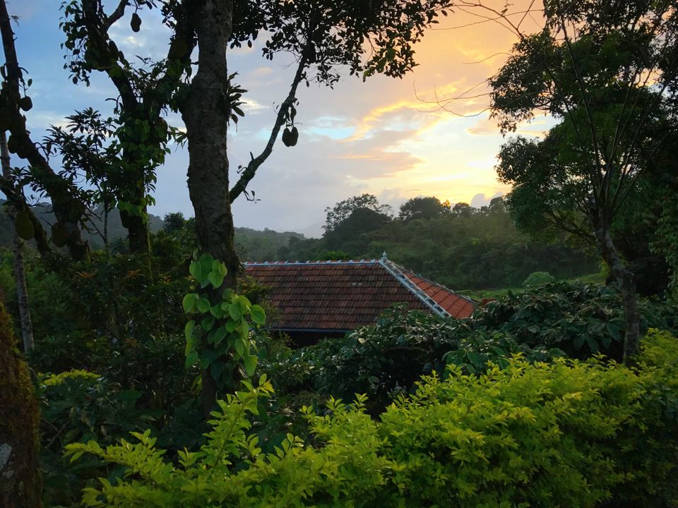 Photo of Coorg Travelogue | On A Triumph Street Twin by Guru Charan Kodali
