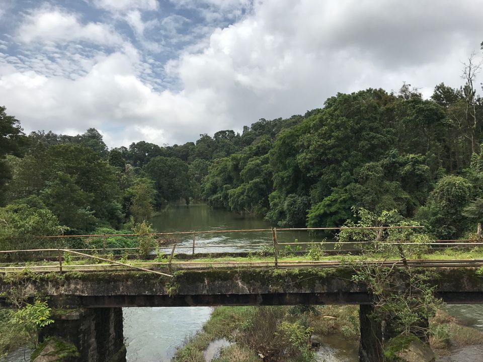 Photo of Coorg Travelogue | On A Triumph Street Twin by Guru Charan Kodali