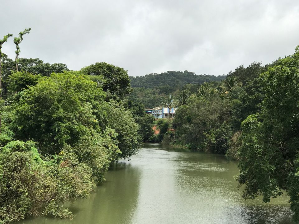 Photo of Coorg Travelogue | On A Triumph Street Twin by Guru Charan Kodali