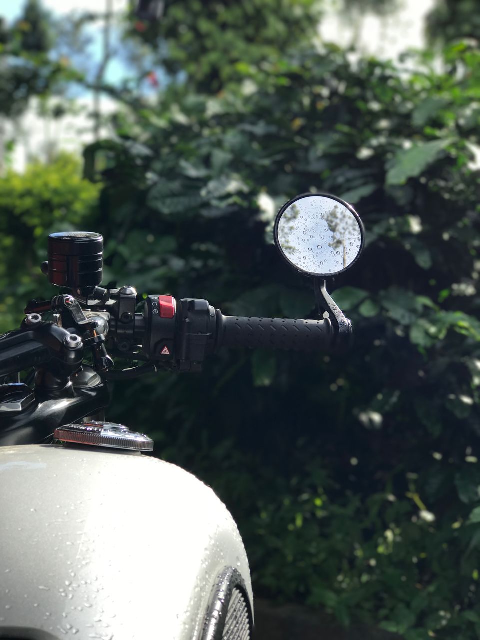 Photo of Coorg Travelogue | On A Triumph Street Twin by Guru Charan Kodali