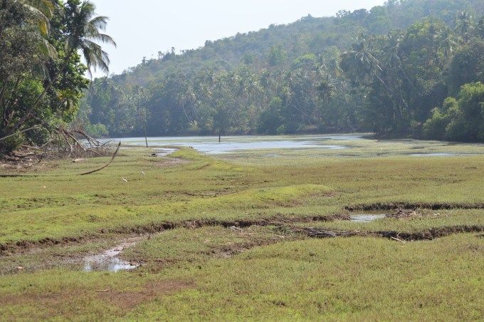Photo of Not- so- Goa things to do in Goa! by stytravels