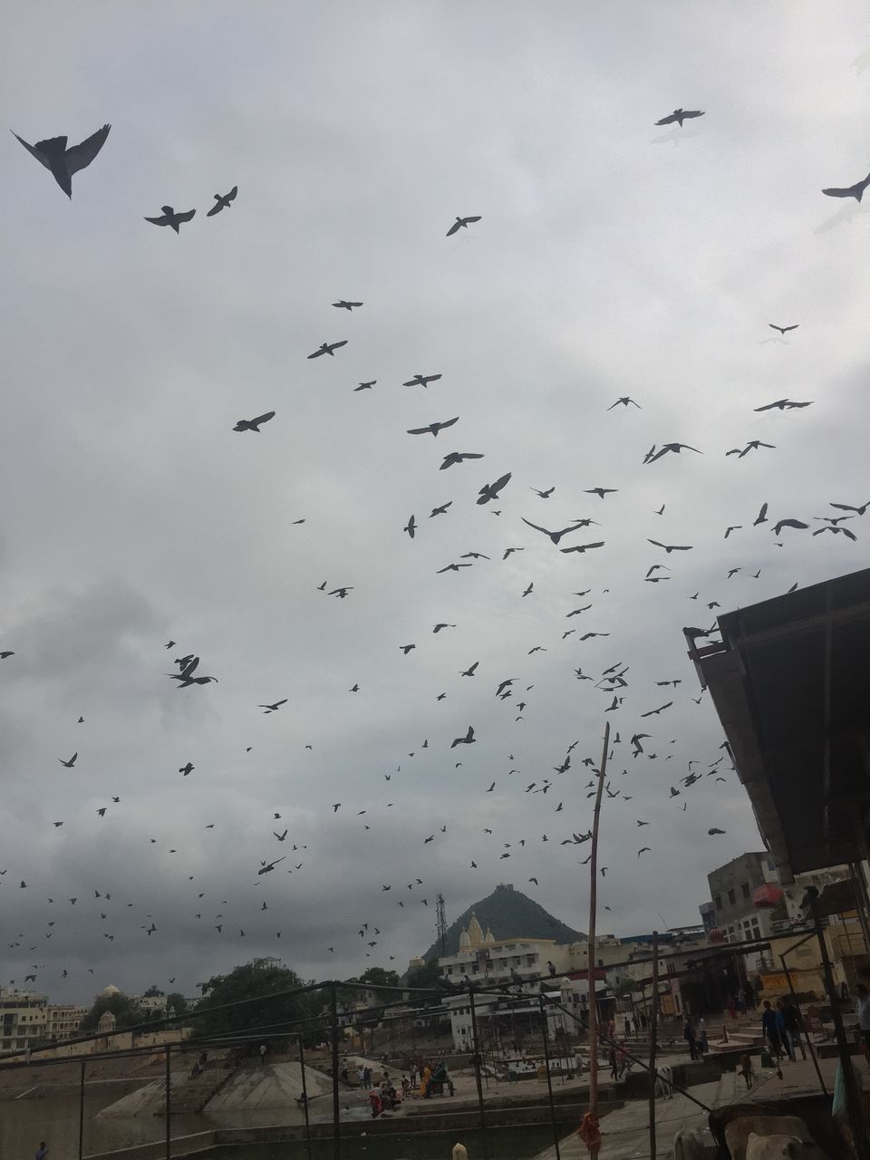 Photo of When Ajmer is to Pushkar! by stytravels