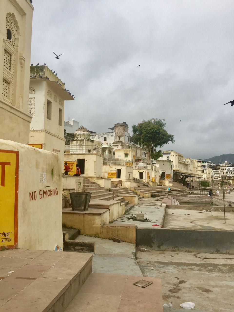 Photo of When Ajmer is to Pushkar! by stytravels