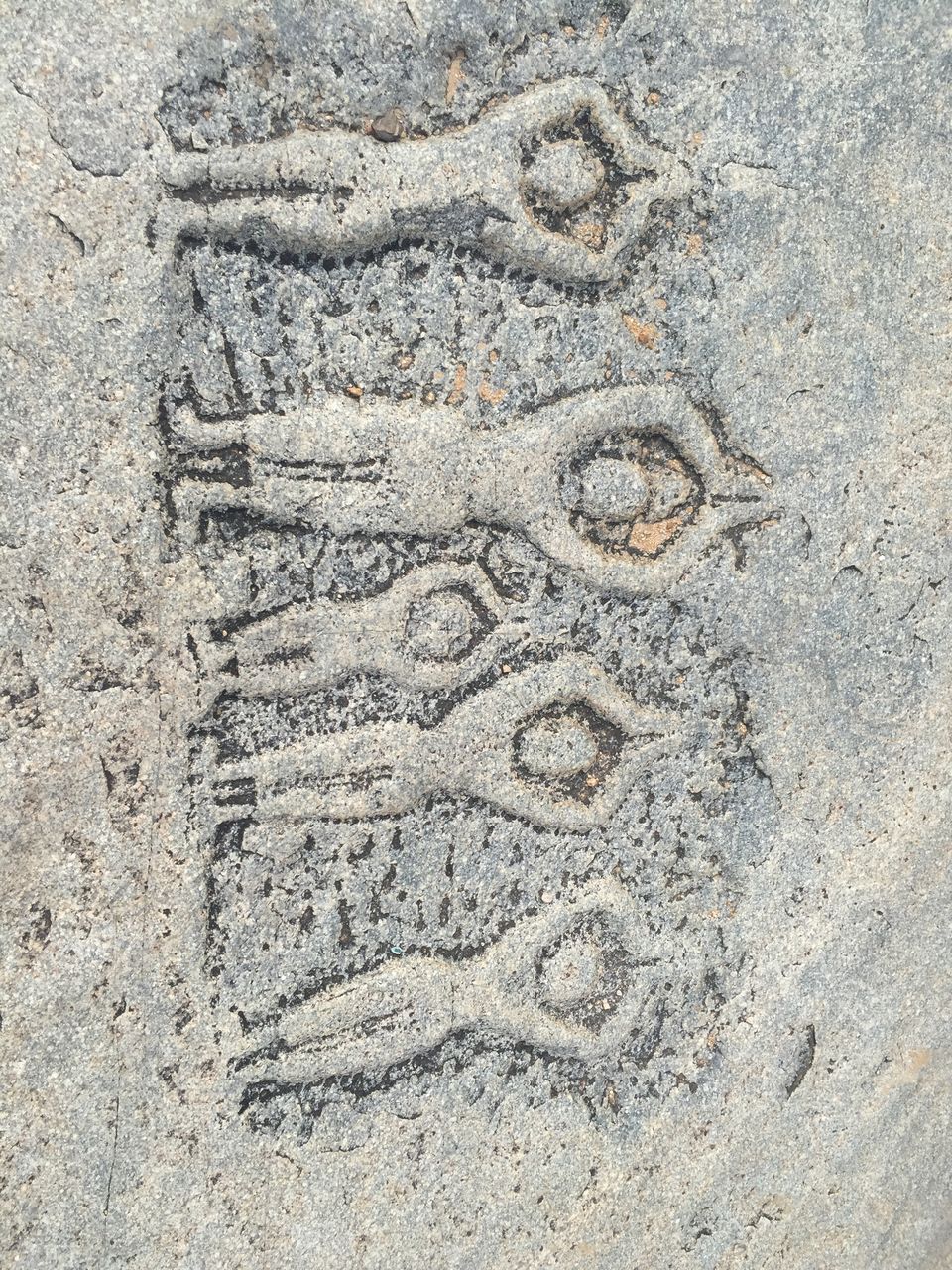 Photo of Hampi: A sneak into the history of India 12/16 by Shipra Agarwal