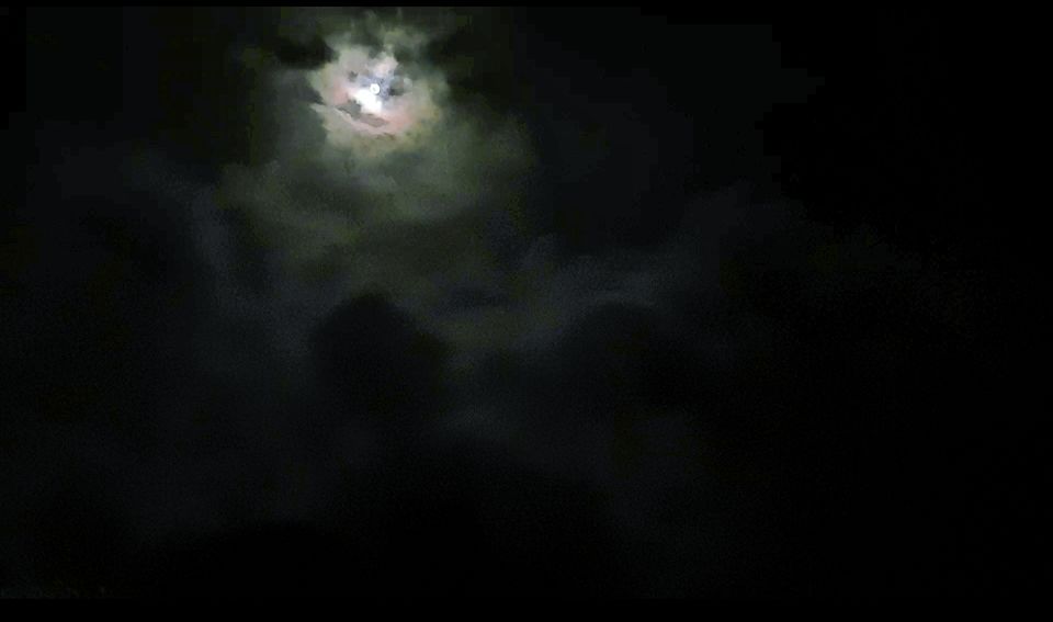 Photo of In Search of Magical Lights at Bhandardara.. by Snehali