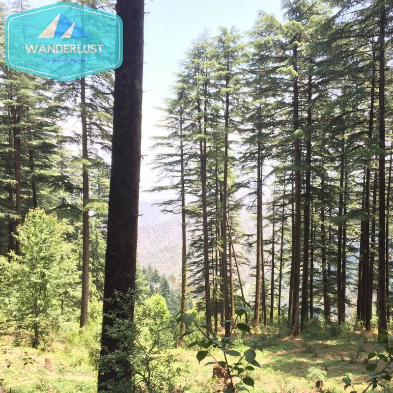 Photo of Unravelling the Hamlet of Himalayas - Kanatal 6/8 by Safarnama