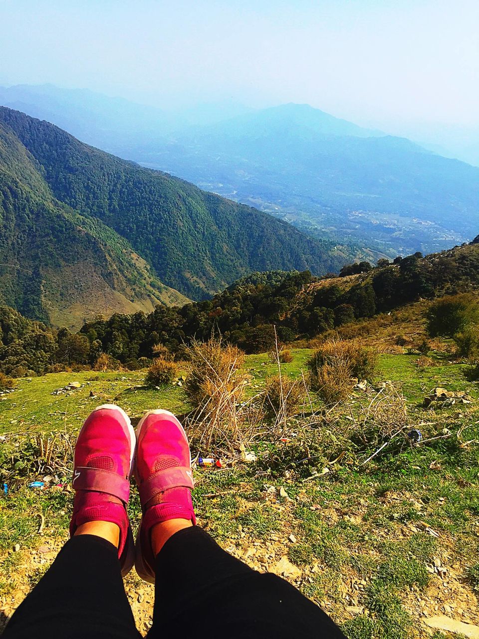 Photo of Unravelling the Hamlet of Himalayas - Kanatal by Safarnama