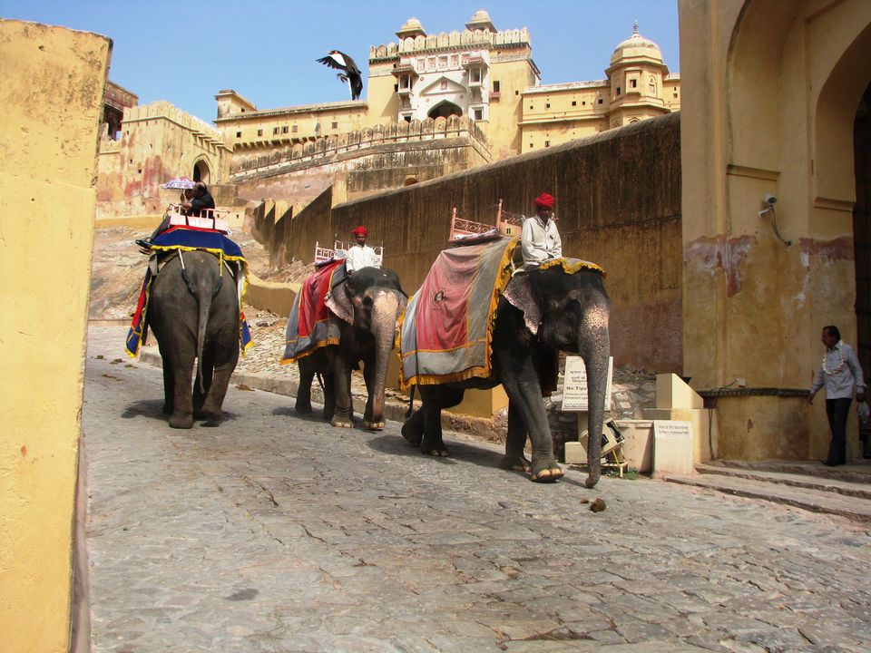 Photo of Alluring Jaipur 12/13 by Simran Randhawa