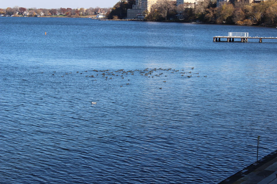 Photo of The City Of Madison,Wisconsin 15/24 by Kavita