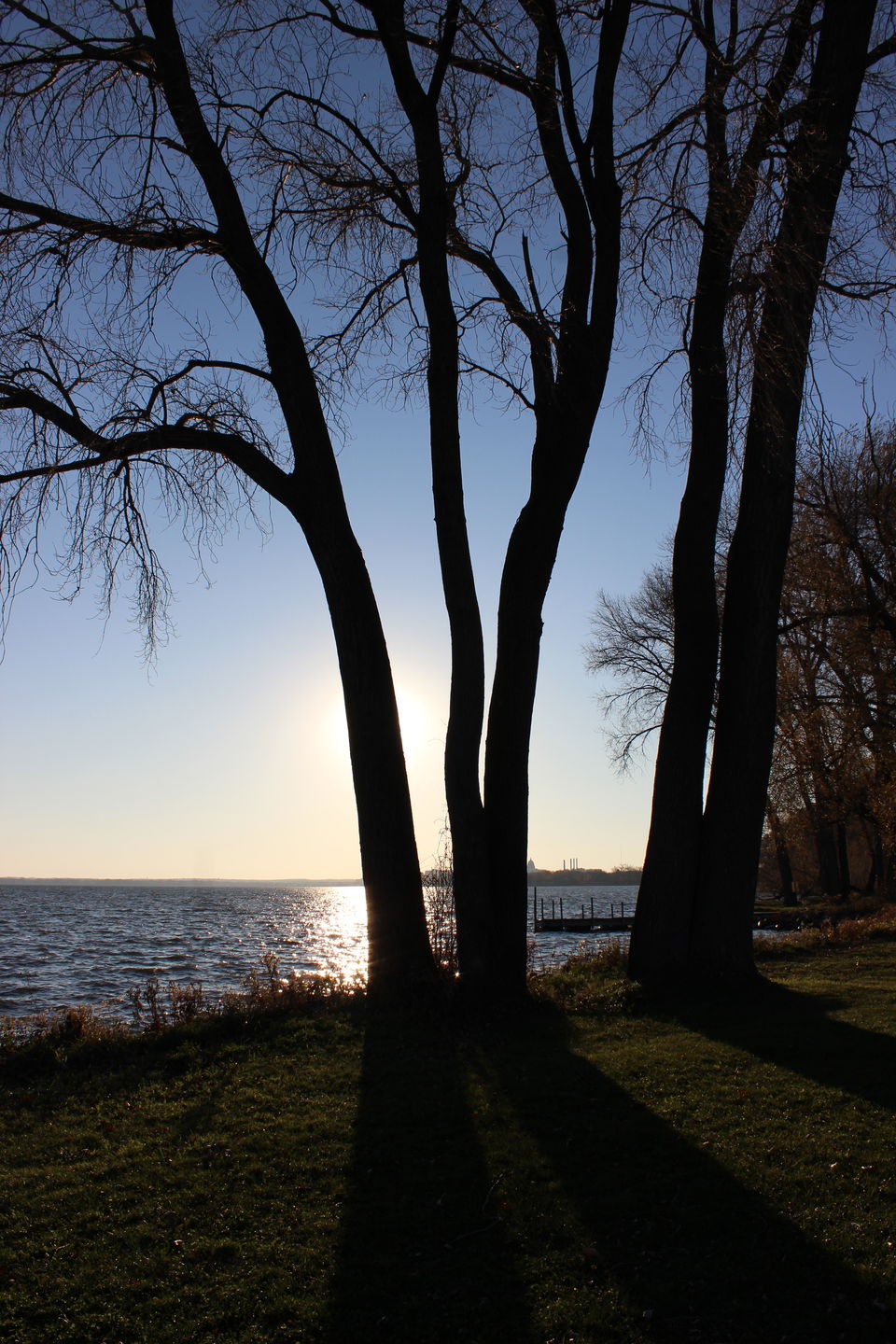 Photo of The City Of Madison,Wisconsin 16/24 by Kavita