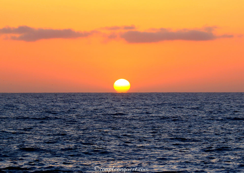 Photo of Offbeat Things To Do In San Diego 3/10 by Kavita