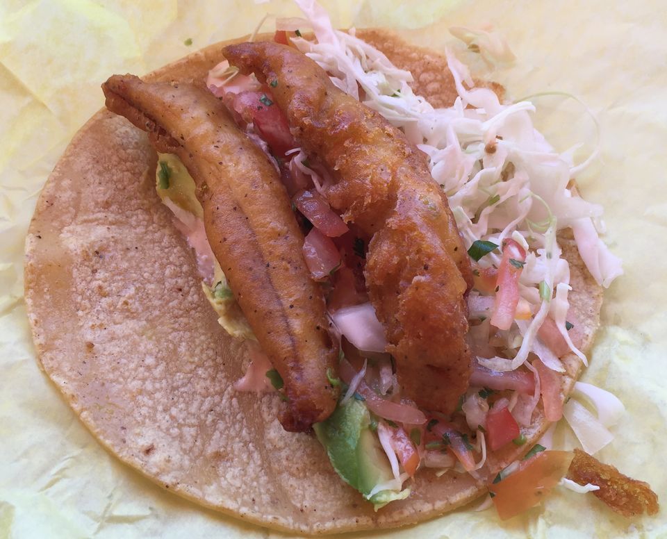 Photo of Offbeat Things To Do In San Diego 10/10 by Kavita