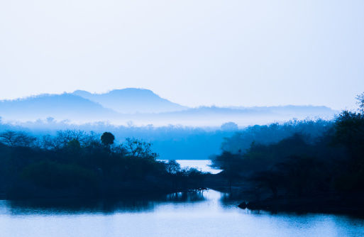 Photo of A Mosaic of Culture & Nature: Diu & Beyond 5/13 by Navina Jafa