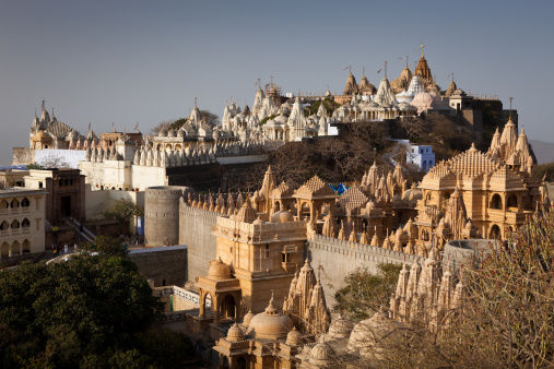 Photo of A Mosaic of Culture & Nature: Diu & Beyond by Navina Jafa