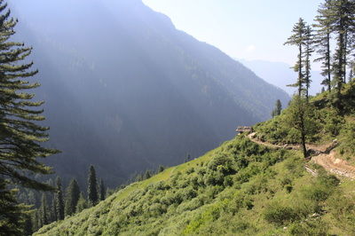 Photo of Trek in Himalayas - Rupin Pass 10/27 by Nikita Bharadia