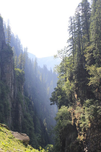 Photo of Trek in Himalayas - Rupin Pass 20/27 by Nikita Bharadia