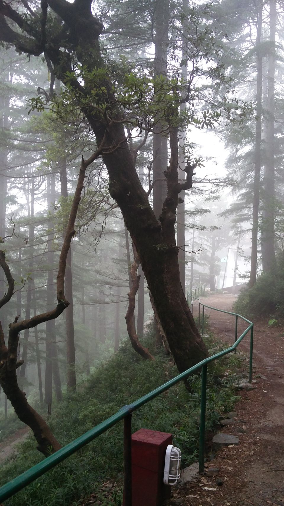 Photo of Traveling for Mindfulness - McLeod and Kasol 4/9 by Nikita Bharadia