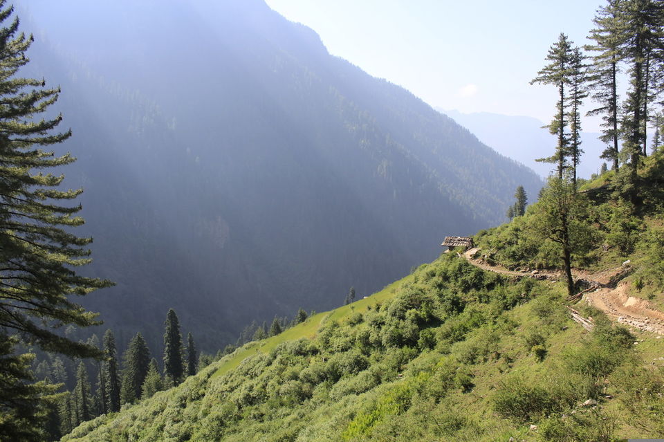 Photo of Trek in Himalayas - Rupin Pass 27/27 by Nikita Bharadia
